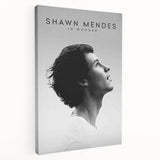 2020s Vintage Movie Poster - Shawn Mendes: In Wonder Documentary Art