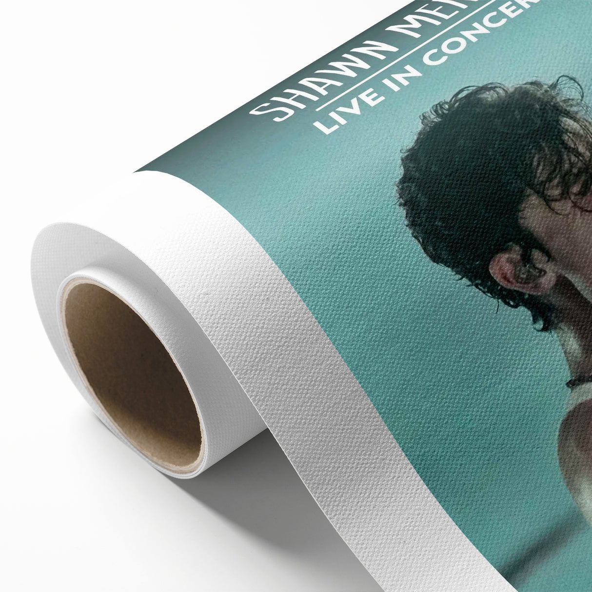 2020s Vintage Movie Poster - Shawn Mendes Live in Concert Music Art