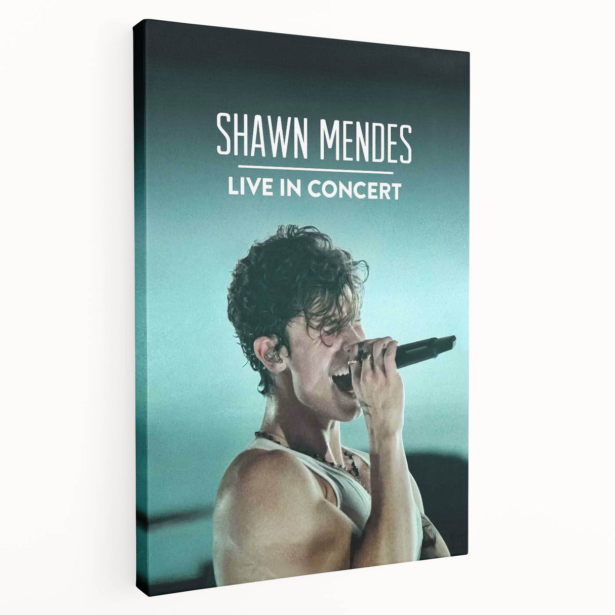 2020s Vintage Movie Poster - Shawn Mendes Live in Concert Music Art