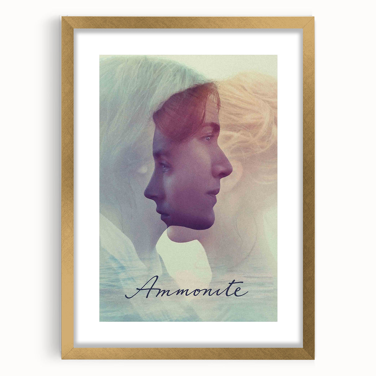 2020s Vintage Movie Poster - Ammonite Retro Film Art