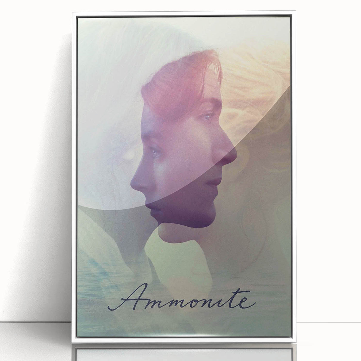 2020s Vintage Movie Poster - Ammonite Retro Film Art