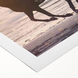 2020s Vintage Movie Poster - Black Beauty Retro Film Art