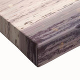 2020s Vintage Movie Poster - Black Beauty Retro Film Art