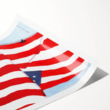 Vintage New Yorker Poster – American Flag in the Wind Art Print