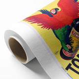Vintage Advertising Poster - Toni-Kola Parrot Retro Wall Art