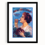 Vintage Bodegas Franco Españolas Rioja Wine Poster | Retro Wall Art