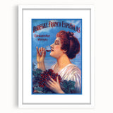 Vintage Bodegas Franco Españolas Rioja Wine Poster | Retro Wall Art
