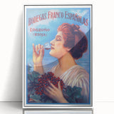 Vintage Bodegas Franco Españolas Rioja Wine Poster | Retro Wall Art