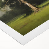 Vintage Nature Art: Majestic Tree Antique Landscape Print