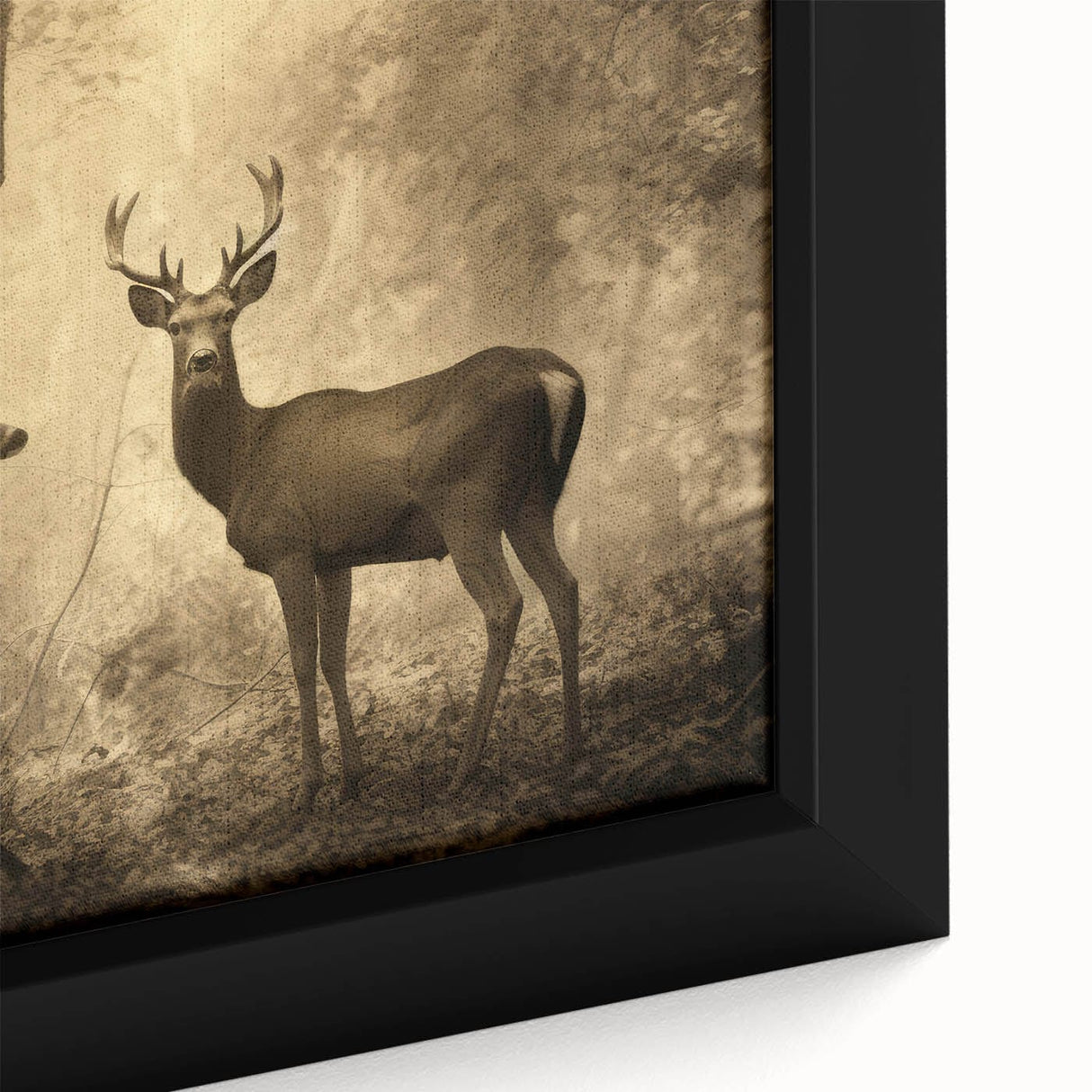 Vintage Animal Art: Deer in Forest – Retro Wildlife Illustration
