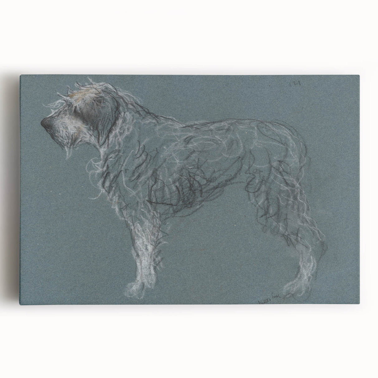 Vintage Animal Art – Sketch of a Dog in Classic Retro Illustration