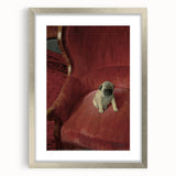 Vintage Animal Art – Playful Pug in Classic Pet Portrait