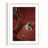 Vintage Animal Art – Playful Pug in Classic Pet Portrait