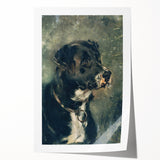 Vintage Animal Art – Majestic Black Dog in Classic Portrait