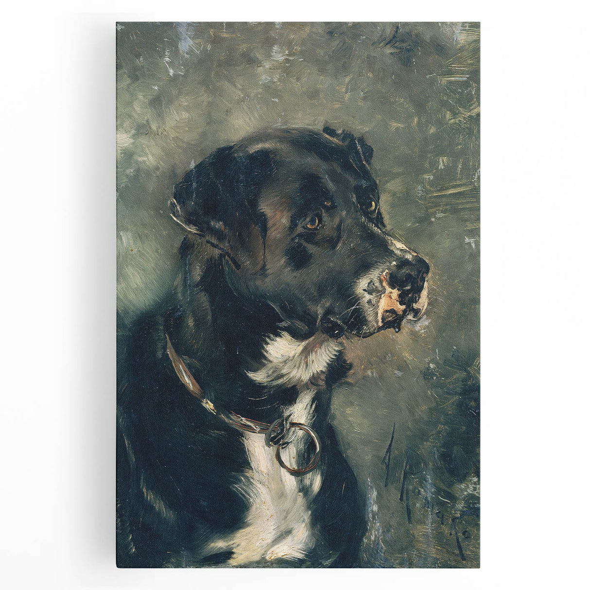 Vintage Animal Art – Majestic Black Dog in Classic Portrait