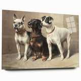 Vintage Animal Art: Trio of Dogs – Retro Wildlife Illustration