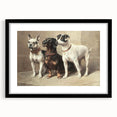 Vintage Animal Art: Trio of Dogs – Retro Wildlife Illustration