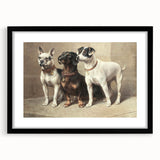 Vintage Animal Art: Trio of Dogs – Retro Wildlife Illustration