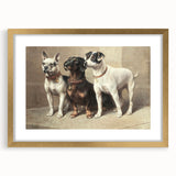 Vintage Animal Art: Trio of Dogs – Retro Wildlife Illustration