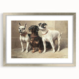 Vintage Animal Art: Trio of Dogs – Retro Wildlife Illustration