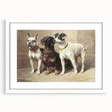 Vintage Animal Art: Trio of Dogs – Retro Wildlife Illustration