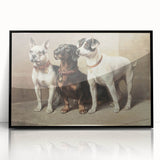 Vintage Animal Art: Trio of Dogs – Retro Wildlife Illustration