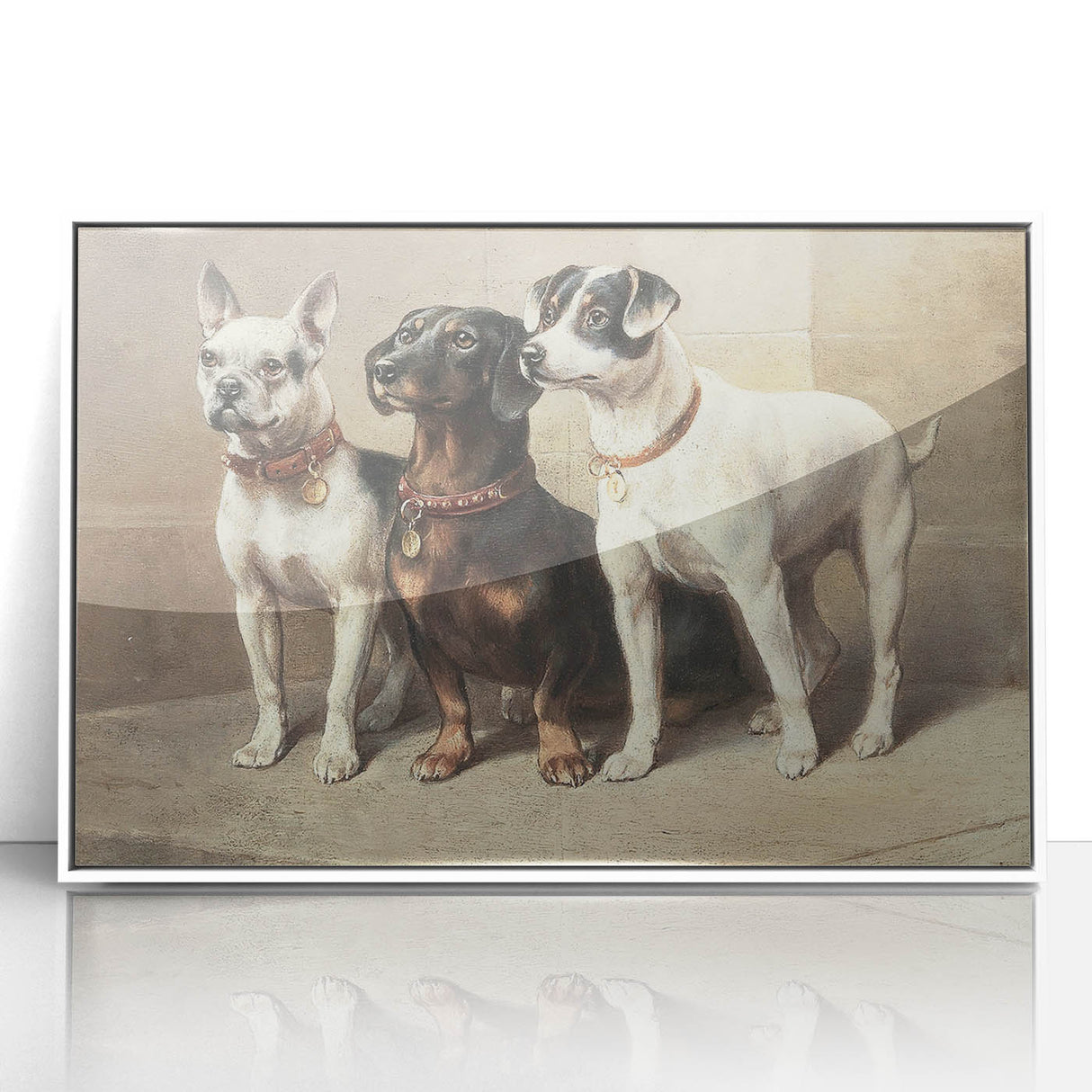 Vintage Animal Art: Trio of Dogs – Retro Wildlife Illustration