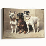 Vintage Animal Art: Trio of Dogs – Retro Wildlife Illustration