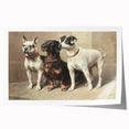 Vintage Animal Art: Trio of Dogs – Retro Wildlife Illustration