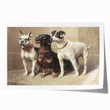 Vintage Animal Art: Trio of Dogs – Retro Wildlife Illustration