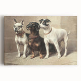 Vintage Animal Art: Trio of Dogs – Retro Wildlife Illustration