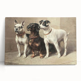 Vintage Animal Art: Trio of Dogs – Retro Wildlife Illustration