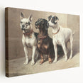 Vintage Animal Art: Trio of Dogs – Retro Wildlife Illustration