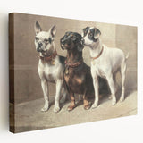 Vintage Animal Art: Trio of Dogs – Retro Wildlife Illustration