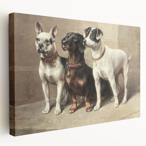 Vintage Animal Art: Trio of Dogs – Retro Wildlife Illustration