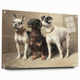 Vintage Animal Art: Trio of Dogs – Retro Wildlife Illustration