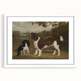 Vintage Animal Art: Two Dogs in Landscape – Retro Wildlife Illustration