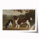 Vintage Animal Art: Two Dogs in Landscape – Retro Wildlife Illustration