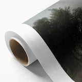 Vintage Animal Art: Dog in Scenic Landscape | Antique Wildlife Prints