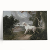 Vintage Animal Art: Dog in Scenic Landscape | Antique Wildlife Prints
