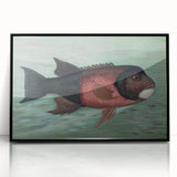 Vintage Animal Art: Fish in Water | Antique Wildlife Prints