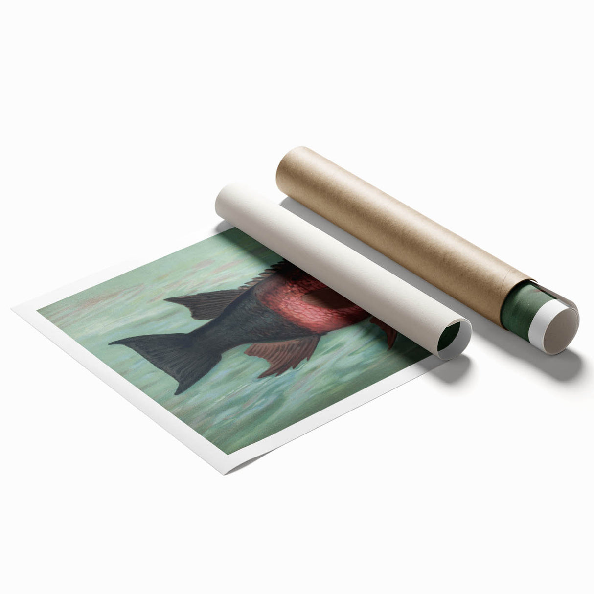 Vintage Animal Art: Fish in Water | Antique Wildlife Prints