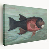 Vintage Animal Art: Fish in Water | Antique Wildlife Prints