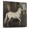 Vintage Animal Art - Classic White Horse Antique Wildlife Prints