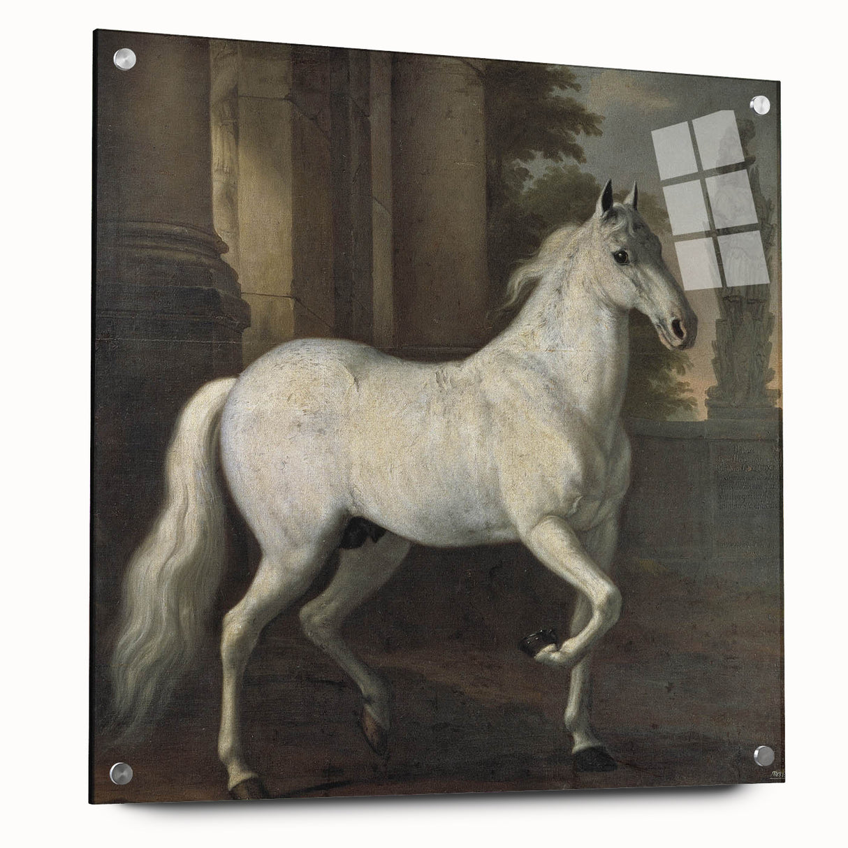 Vintage Animal Art - Classic White Horse Antique Wildlife Prints