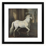 Vintage Animal Art - Classic White Horse Antique Wildlife Prints