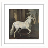 Vintage Animal Art - Classic White Horse Antique Wildlife Prints