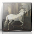 Vintage Animal Art - Classic White Horse Antique Wildlife Prints