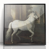 Vintage Animal Art - Classic White Horse Antique Wildlife Prints