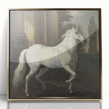 Vintage Animal Art - Classic White Horse Antique Wildlife Prints